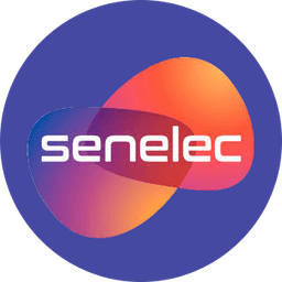 experience.items.senelec.company