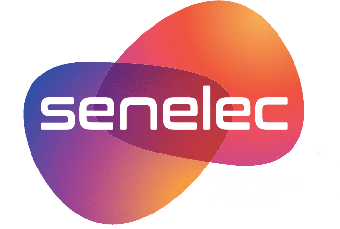 projects.items.senelec.title